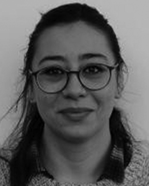 Dilara Gokcen Buldu