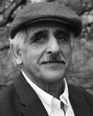M. Taghi Mostafavi