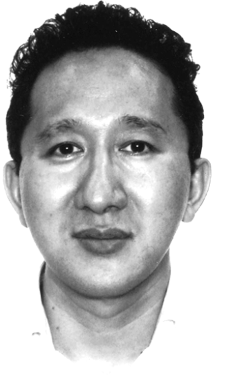 Newton Maruyama