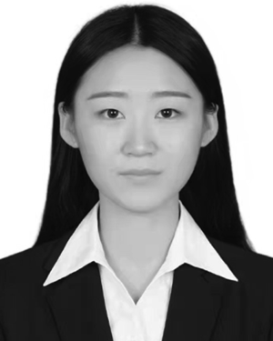 Meng Li