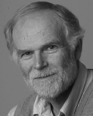 M. A. Lieberman