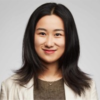 Qinyi Chen