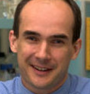 Nicholas A Shackel