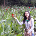 Zheng Shiwen