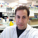Ahmad Jalilian