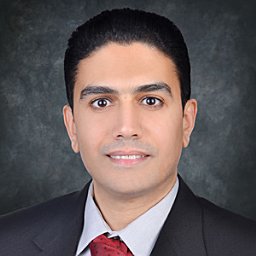Ahmed Abdel-Hadi
