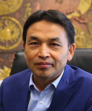 Yonghong Zhu