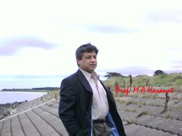 Muhammad Abul Hasanat