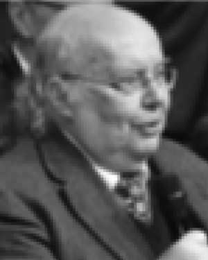 Giovanni Belingardi