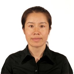 Shufang Fan