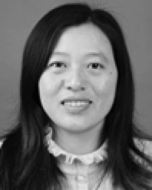 Yuanmei Wang