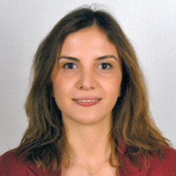 Deniz Ikiz Kaya