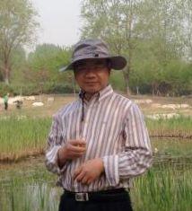 Ruixiang Wang