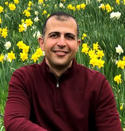 Ahmed A. Hashem