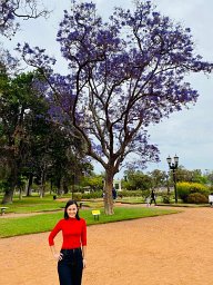 Viviana Sanchez Torres