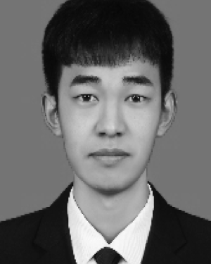 Shengdi Feng