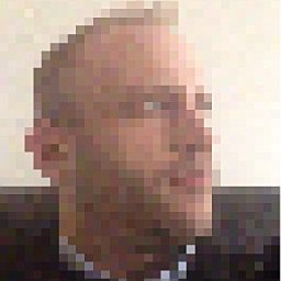 Tim Vorley