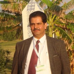 Salem S. Alghamdi