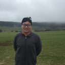 Dan Xing