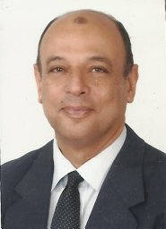 Magdy Sayed Aly
