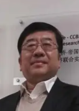 Hong Mi