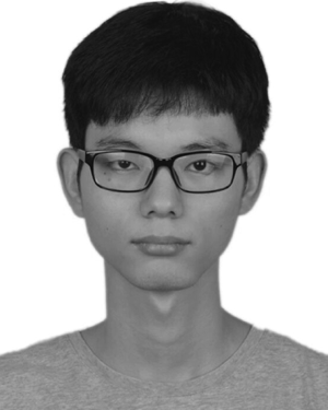 Chengzheng Li