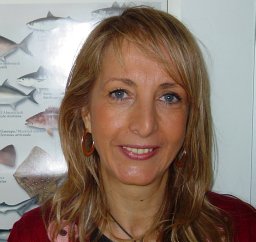 Narcisa M. Bandarra