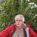 David R Gillespie