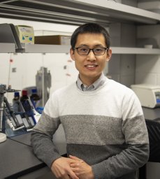 Yuan Wang