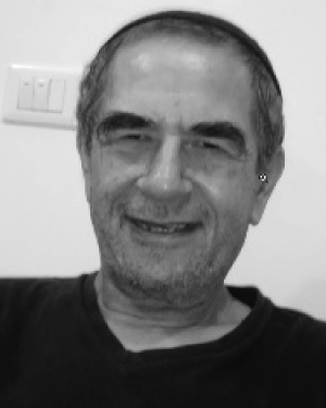 Raul Rabinovici