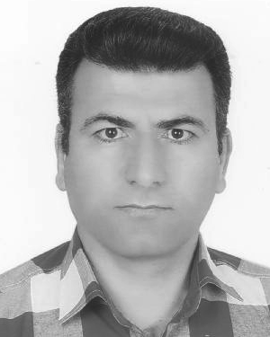 Karim Ansari-Asl