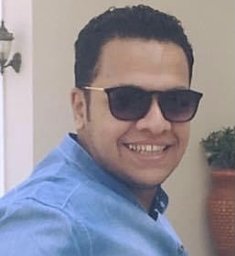Amr S. Abdelfattah