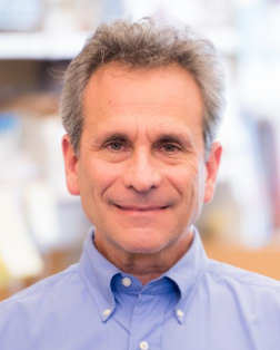 John Rubenstein