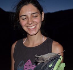 Mata Vanessa A