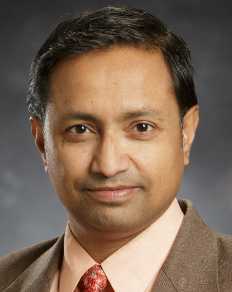 Sundar Madihally