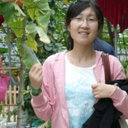 Lingxia Li