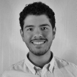 Jose Villafuerte