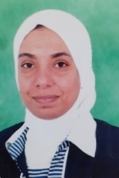 Hanan H. Awad