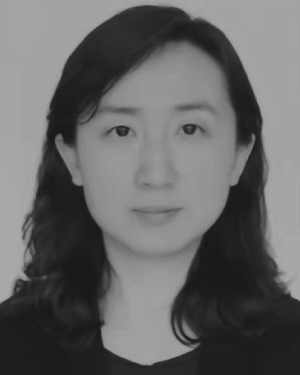 Lei Wang