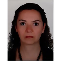 Ozdemir Hulya