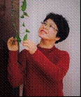 Qunfang Xu