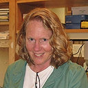 Kathy A Strauss