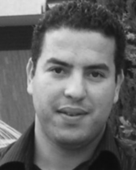 Hamid Ladjal
