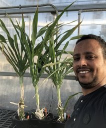 Dimiru Tadesse