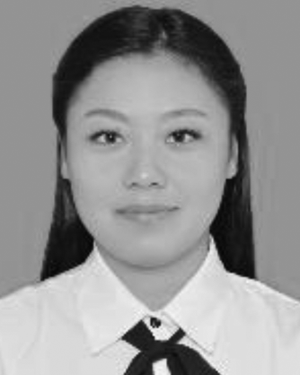 Menglu Li