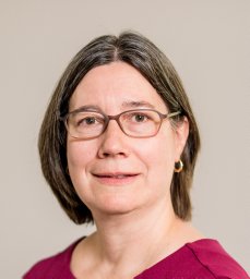 Ann M. Stevens