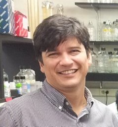 Mauricio J Reginato
