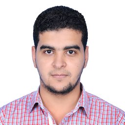 Mohamed Z. M. Hamdalla