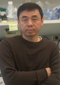 Xingxing Wang