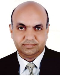Mohamed M El-Sayed Seleman